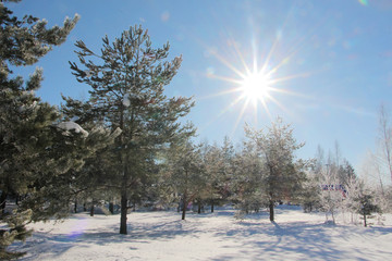 Russian winter