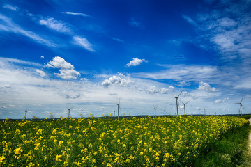 picturesque spring landscape with blue sky and green fields