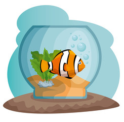 bowl aquarium with fish