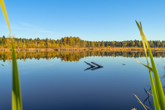 Murass Murass Images – Browse 47 Stock Photos, Vectors, and Video | Adobe Stock
