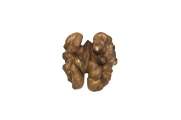 walnut isolated on white background