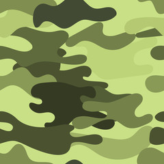 Fototapeta na wymiar Vector camouflage pattern