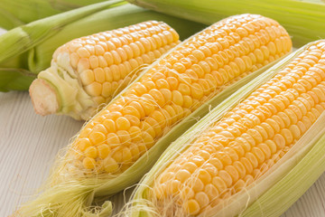 Corn on white wooden background