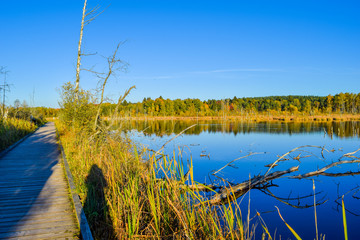 Wooden pedestrian next to a lake in front of deep blue sky, trees mirroring in the water, Schwenninger Moos, Germany