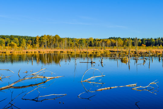 Murass Murass Images – Browse 47 Stock Photos, Vectors, and Video | Adobe Stock