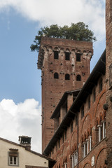 The beautiful medieval Guinigi Tower with holm oak trees on top, Lucca, Tuscany, Italy