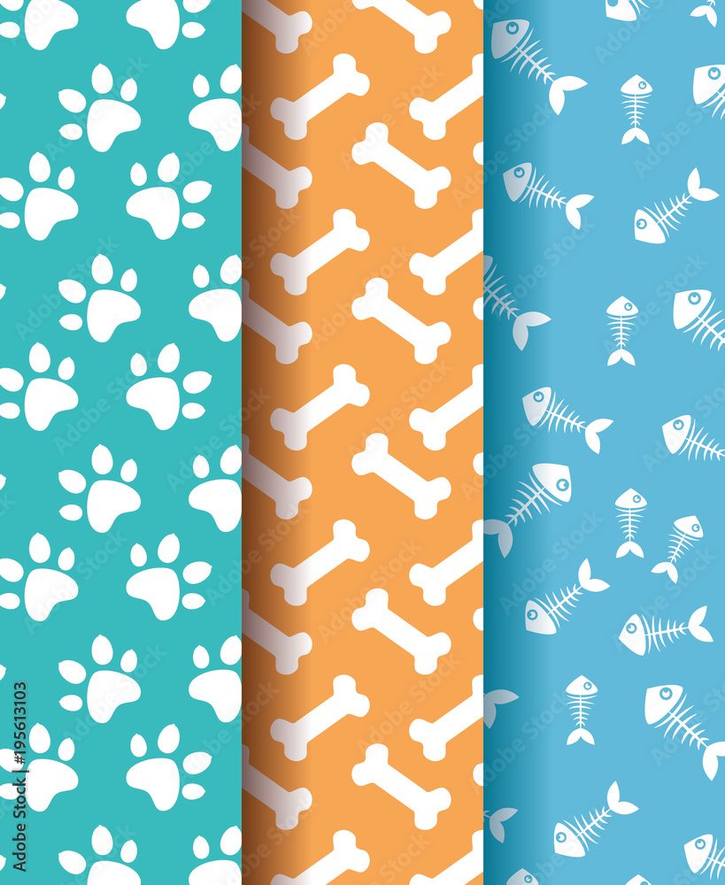 Poster paws and bones pets patterns