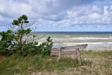 Baltic sea coastline near Liepaja, Latvia. Sand dunes with pine trees. Classical Baltic beach landscape. Wild nature