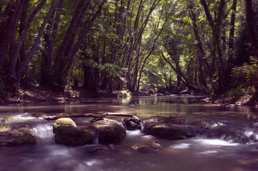 rivière