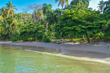 Palms and an old boat at the sandy beach in the Dominican Republic, Caribbean sea