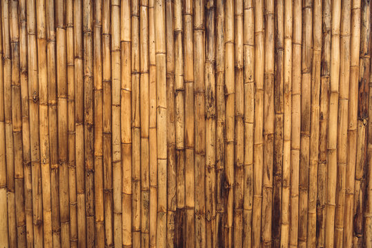 Bamboo texture background