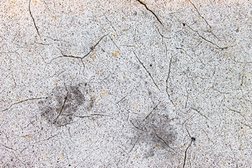 Cracked Concrete Detail