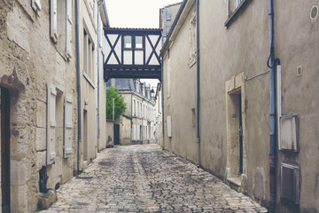 Fototapeta na wymiar Beautiful and peaceful narrow alley with historic traditional houses and cobbled street in an old town in Cognac , France