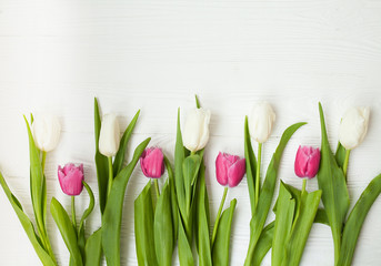 Fresh tulips on a white wooden background for Mother's Day
