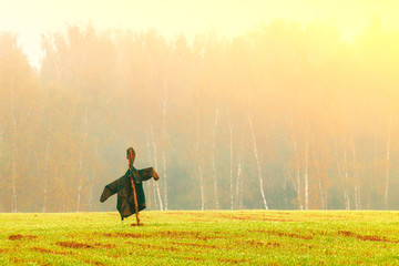 Scarecrow on the field. Green field with young shoots. Agriculture. Fog, morning, dawn. The problem...