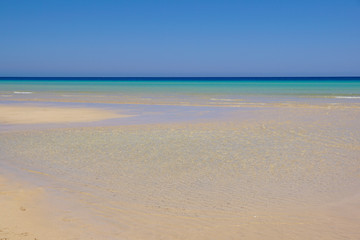 Beautiful white sand beach and Canary island , Fuerteventura sea.