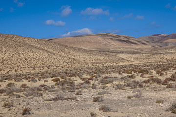 Mountain volcanic landscape, Fuerteventura, Canary Islands, Spain