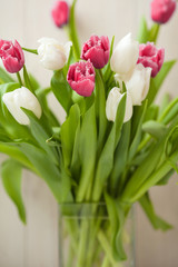 Fototapeta premium Spring tulips flower on wooden background. Tulip, gardening concept.