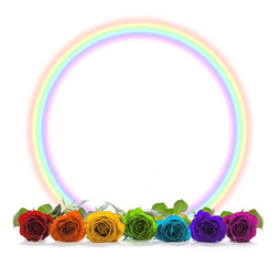 Rainbow coloured roses and  rainbow circle border -  A row of seven chakra coloured rose heads in...