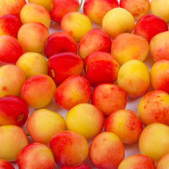 Cherry in a bowl. Fresh yellow cherry. Cherry on a white wooden background. The concept of a healthy diet