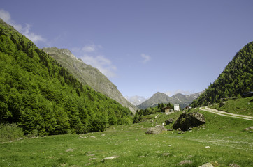 Fototapeta na wymiar Montagne Pyrénéenne