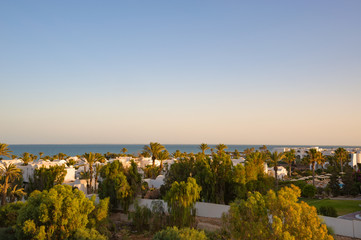 Blick über Palmen auf das abendliche mittelmeer