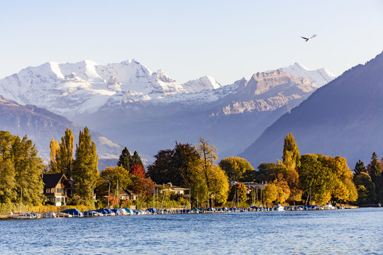 Switzerland, Canton of Bern, Thun, river Aare and alpine panorama