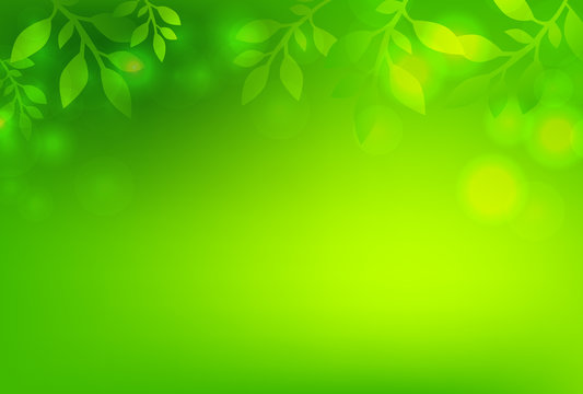 Green spring background with leaves. Vector illustration.