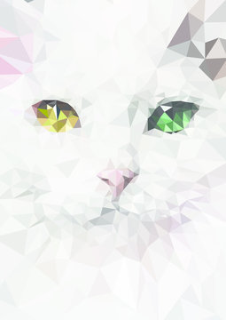 Cat Vektor Stock Photos And Royalty Free Images Vectors And Illustrations Adobe Stock
