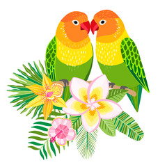 Vector lovebirds parrots. Tropical bird illustration