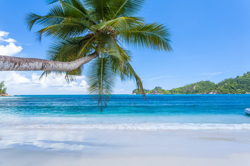 Fototapeta na wymiar plage d'anse Boileau, Mahé, Seychelles 