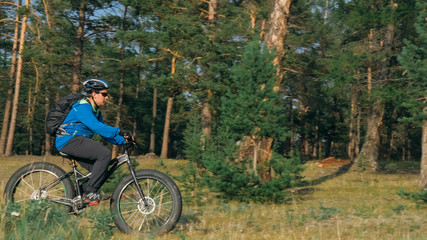 Obraz premium Fat bike also called fatbike or fat-tire bike in summer riding in the forest. The guy rides a bicycle among trees and stumps. He overcomes some obstacles on a bumpy road.