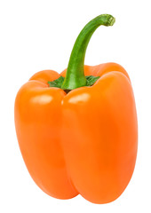 Ripe orange sweet bulgarian pepper for salad on white isolated background