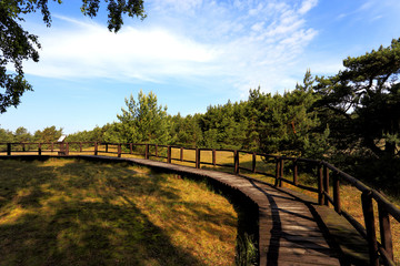 Sand dunes covered with grass and trees by Baltic Sea central shore near town of Rowy in Poland in summer season