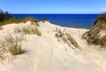 Fototapeta na wymiar Grassy sand dunes and beach of Baltic Sea central shore near town of Rowy in Poland