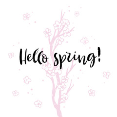 Fototapeta na wymiar Hello spring. Pink Cherry blossom Sakura branch. Calligraphy card. Hand drawn design elements. Handwritten modern brush lettering. Vector illustration.