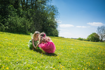 Fairy girls