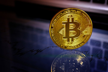 Bitcoin gold coin. Virtual cryptocurrency concept.