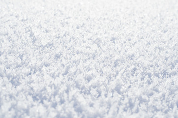 Fresh snow. Background, texture