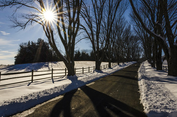 A road with sunset leading to Ash Lawn-Highland, Home of President James Monroe, located in...