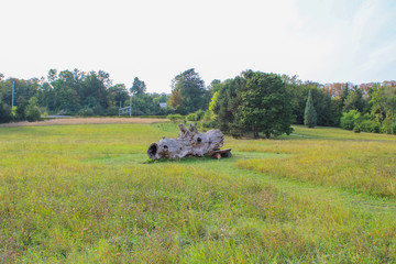 The Conservatory and Botanical Garden of the City of Geneva