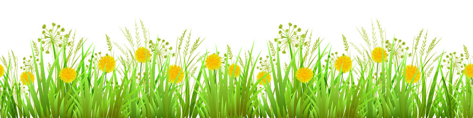 Green Grass, dandelions. Long format. Wild design. Seamless pattern. EPS Vector illustration