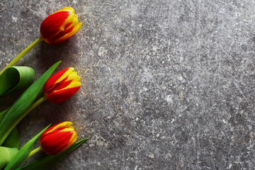 Three red and yellow tulips on grunge background. Template for mother's, women's day or birthday greeting card with copy space for text.