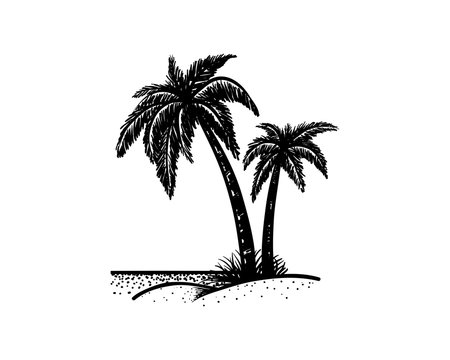 Palm Tree on the Beach Hand Drawing Sign Symbol Logo Vector