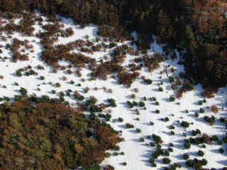 Aerial photo of winter landscape
