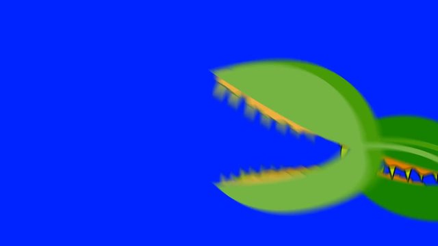 Creepy Venus Fly Traps Attacking On A Blue Screen Background