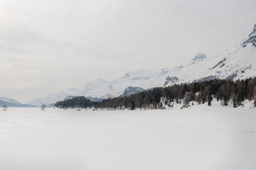 Sils, Silsersee, Langlauf, Langlaufloipe,  Maloja, Oberengadin, Winter, Wintersport, Alpen,...