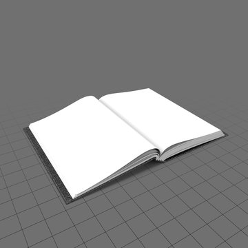 Open bound sketchbook (flat) 1