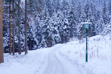 Lamp Post in Winter