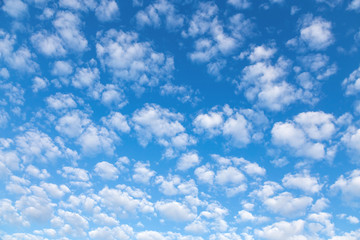 Nice small clouds. Cute fluffy cirrus clouds on a blue sky, background with a gradient effect.